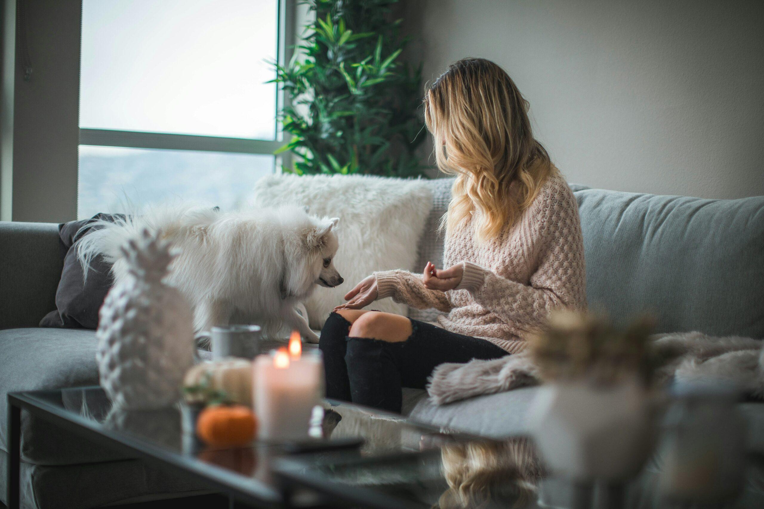 Profumi d'ambiente e candele